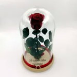 Trandafir criogenat natural, pe pat de mușchi stabilizat, în cupolă medie de sticlă cu bază natur - Roșu