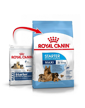 Royal Canin Maxi Starter Mother & Babydog, mama și puiul, hrană uscată câine, 15kg, Royal Canin
