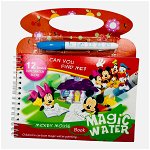 Carte de colorat Magic Water, carioca inclusa, cu apa, 8 pagini,reutilizabilă, +3ani, 