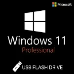 Licenta Windows 11 Pro, 64 bit, Multilanguage, Retail, Flash USB