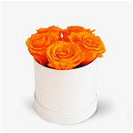 Cutie 5 trandafiri criogenati portocalii - Standard, Floria