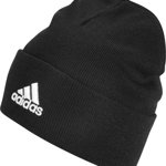 Pălărie de iarnă Adidas Logo adidas Woolie FS9022 FS9022 negru OSFW, Adidas
