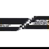 Patriot SSD Patriot Viper P400 Lite, M.2, PCI-Express 4 NVMe, 1000GB, Patriot