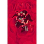 Vision Vol. 2: Little Better Than A Beast
