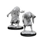 Miniaturi Nepictate D&D Nolzur's Marvelous Bodaks (W13), D&D