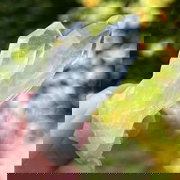 Cluster cuart incolor m2, druzy.ro - Cristale, Home Deco