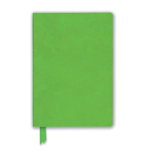 Spring Green Artisan Notebook (Flame Tree Journals) (Artisan Notebooks)