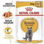 Hrana Umeda Pisici, ROYAL CANIN, British Shorthair Adult, 85g