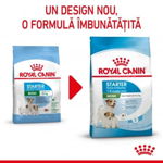 Hrana uscata pentru caini Royal Canin, Mini Starter Mother & Babydog, 1 Kg