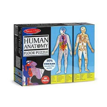 Puzzle de Podea Corpul Uman
