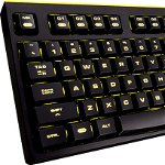 Tastatura Gaming Cougar 300K