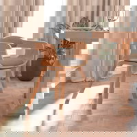 vidaXL Scaun de bucatarie gri taupe lemn curbat si material textil