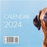 Calendar birou Caini, Litera