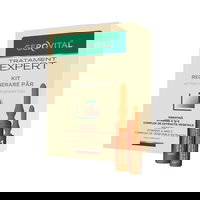 Kit regenerare par Tratament Expert fiole, 10 buc x 5 ml + 10 buc x 10 ml