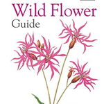 Concise Wild Flower Guide