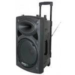 Boxa Portabila 15 Inch 800w cu Usb/mp3 si microfoane wireless, IBIZA