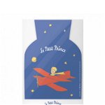 Incalzitor cu apa calda - The Little Prince, Plane