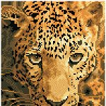 Tablou cu diamante înrămat – Jaguar, 28 x 36 cm, edituradiana.ro