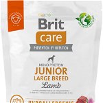 BRIT CARE Hypoallergenic JUNIOR Large Breed, cu Miel şi Orez, Brit Care