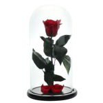 Trandafir Criogenat in cupola de sticla cu blat negru, pe pat de petale, FashionForYou