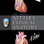 Netter's Clinical Anatomy (Netter Basic Science)