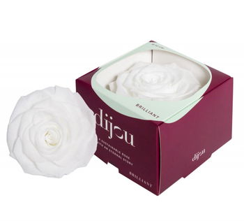 Trandafir ALB Natural Criogenat Premium cu diametru 10cm + cutie cadou, 