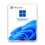Microsoft Windows 11 Pro, 64 bit, Multilanguage, Retail, Flash USB