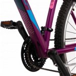 Bicicleta Mtb Terrana 2922 - 29 Inch, S, Violet, DHS