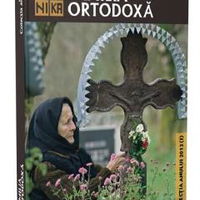 Pachet prima mea lectura. 6 povesti cu catelusi - Holly Webb