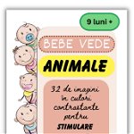 Bebe vede - Animale (cartonase), AmoNA