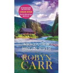 Noi inceputuri in Virgin River - Robyn Carr, Litera