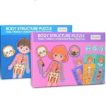 Body Structure Puzzle, 