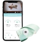 Owlet Smart Sock 3 - verde deschis - Monitor inteligent, Owlet