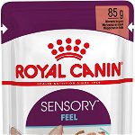 ROYAL CANIN FHN Sensory Feel în Sos Plic pentru pisici 85g, Royal Canin