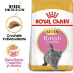 Hrana Uscata Pisici, ROYAL CANIN, British Shorthair Junior, 400g, Royal Canin