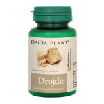 Drojdie comprimate, Dacia Plant