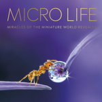 Micro Life, 