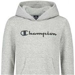 Champion Hooded Sweatshirt Grey, Champion