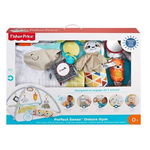 FISHER PRICE SALTEA CU ACTIVITATI SI ACCESORII