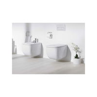 Bideu pe pardoseala BTW Rak Ceramics Metropolitan