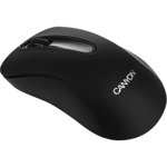 Mouse Canyon Barbone Wired Black