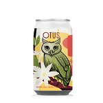 OWL OTUS JASMINE & GREEN TEA, OWL Brewing