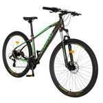 Bicicleta MTB HIDRAULICA CARPAT C2959AH 29\" GRI/VERDE