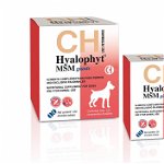 Hyalophyt MSM Giants - Supliment pentru articulatii - 30cpr., Chemical Iberica