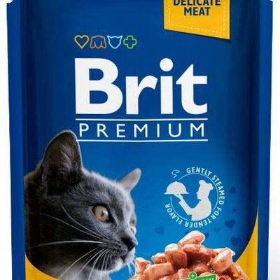 Hrana umeda pentru pisici Brit Premium Adult cu somon  pastrav 100 gr, Brit Premium