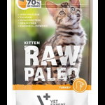 VETEXPERT RAW PALEO Kitten plic hrana umeda pisoi 100 g curcan, VETEXPERT