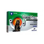 Pestigon Cat 4 pipete, Pestigon