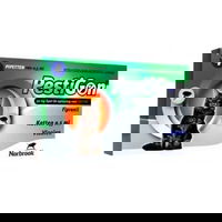 Pestigon Cat 4 pipete, Norbrook