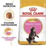 Royal Canin Maine Coon Kitten hrană uscată pisică junior, 10kg, Royal Canin