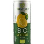 Suc de lamaie Bio Hollinger, 250 ml, Carbogazos